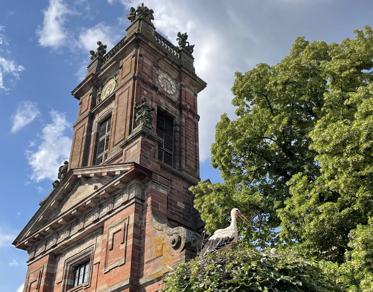 Abbatiale Saints-Pierre-et-Paul
